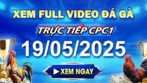 Xem Lại Video Đá Gà CPC1 Ngày 19-05-2025 cùng GACAM67