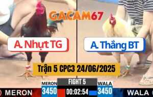 Trận 5 CPC3 24/06/2025 - Anh Nhựt Tiền Giang Gặp Anh Thắng Bến Tre