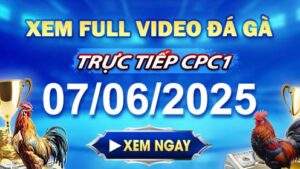 Xem Lại Video Đá Gà CPC1 Ngày 07-06-2025 cùng GACAM67