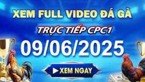 Xem Lại Video Đá Gà CPC1 Ngày 09-06-2025 cùng GACAM67