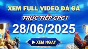 Xem Lại Video Đá Gà CPC1 Ngày 28-06-2025 cùng GACAM67