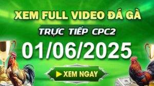 Xem Lại Video Đá Gà CPC2 Ngày 01-06-2025 cùng GACAM67