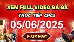 Xem Lại Video Đá Gà CPC3 Ngày 05-06-2025 cùng GACAM67