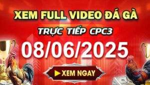 Xem Lại Video Đá Gà CPC3 Ngày 08-06-2025 cùng GACAM67
