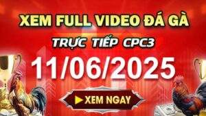 Xem Lại Video Đá Gà CPC3 Ngày 11-06-2025 cùng GACAM67