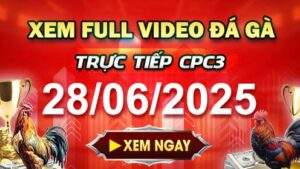 Xem Lại Video Đá Gà CPC3 Ngày 28-06-2025 cùng GACAM67