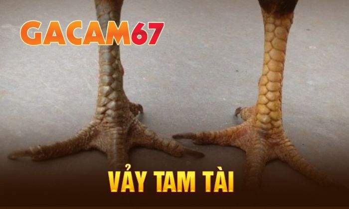 Giới thiệu về vảy Tam Tài