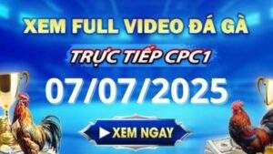 Xem lại video đá gà CPC1 ngày 07_07_2025 tại Gacam67