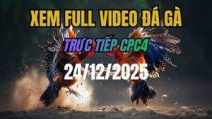 Xem Lại Video Đá Gà CPC4 Trực Tiếp Ngày 24/12/2025