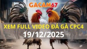 Xem Lại Video Đá Gà CPC4 Trực Tiếp Ngày 19/12/2025