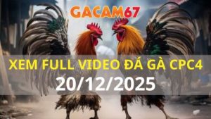 Xem Lại Video Đá Gà CPC4 Trực Tiếp Ngày 20/12/2025