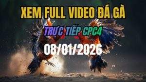 Xem Lại Video Đá Gà CPC4 Trực Tiếp Ngày 08/01/2026
