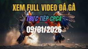 Xem Lại Video Đá Gà CPC4 Trực Tiếp Ngày 09/01/2026