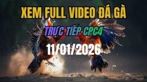 Xem Lại Video Đá Gà CPC4 Trực Tiếp Ngày 11/01/2026