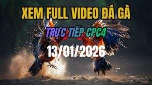 Xem Lại Video Đá Gà CPC4 Trực Tiếp Ngày 13/01/2026