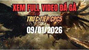 Xem Lại Video Đá Gà CPC5 Trực Tiếp Ngày 09/01/2026