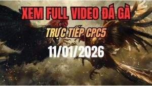 Xem Lại Video Đá Gà CPC5 Trực Tiếp Ngày 11/01/2026