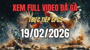 xem lai video da ga cpc5 truc tiep ngay 19 01 2026