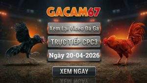 Xem Lại Video Đá Gà CPC3 Ngày 20/04/2026