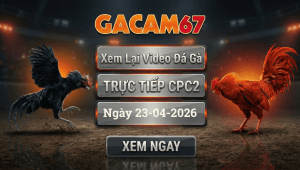Xem Lại Video Đá Gà CPC2 Ngày 23/04/2026