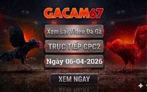Xem Lại Video Đá Gà CPC2 Ngày 06/04/2026