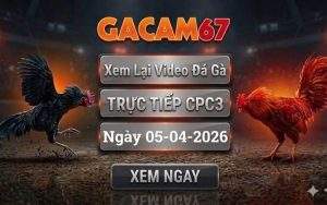 Xem Lại Video Đá Gà CPC3 Ngày 05/04/2026