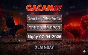 Xem Lại Video Đá Gà CPC3 Ngày 07/04/2026