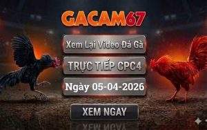 Xem Lại Video Đá Gà CPC4 Ngày 05/04/2026
